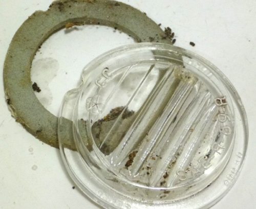 1969-1971 MoPar Back-Up Lense with Gasket - Image 2